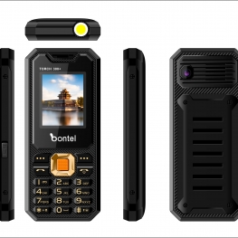 TORCH 300+