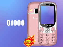 Q1000